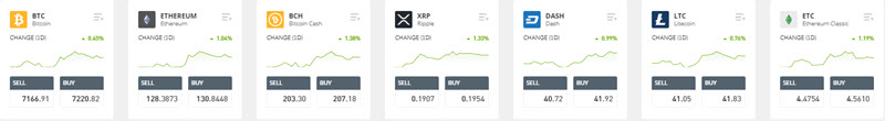 eToro Crypto