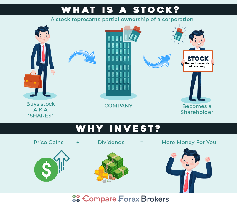 What are stocks