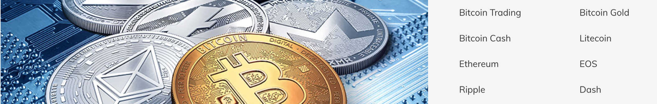 AvaTrade Cryptos Market Maker Forex Brokers