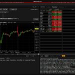 step 3- interactive brokers - trader workstation - platform