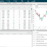Overview of the Forex.com Platform