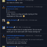 Social Trading Chat Rooms