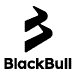 BlackBull Markets logo