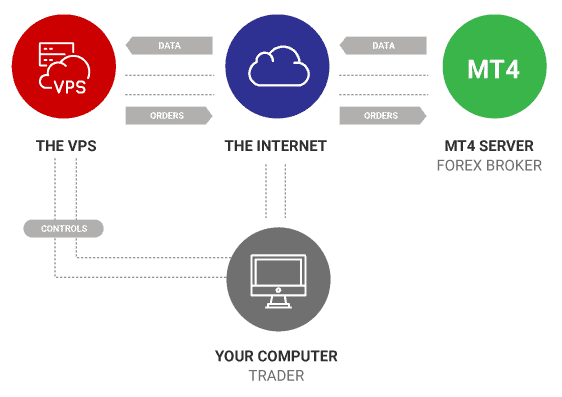 image of Tickmill VPS