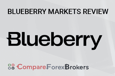 blueberry markets key features review