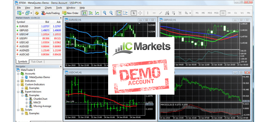 Are ig forex demo account made up