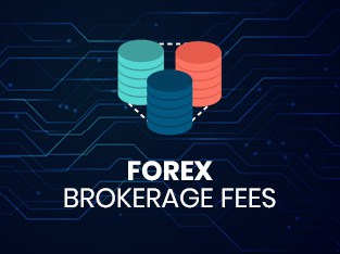 Forex-Brokerage-Fees-Icon