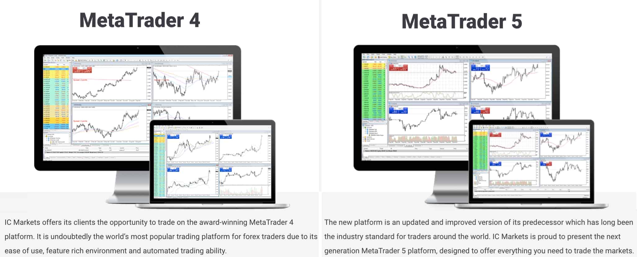 XM vs IC Markets 2020 guide. ECN pricing vs Market Maker