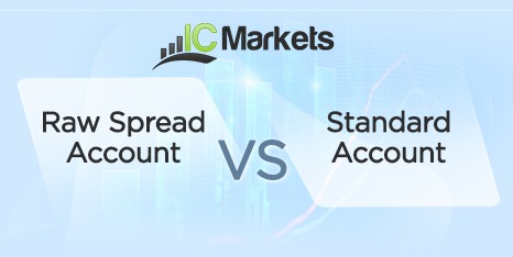 ICM Standard vs Raw Logo