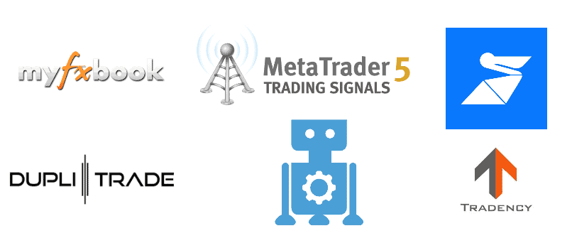 Best Social Trading Platform in | blogger.com