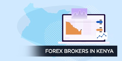 Forex Brokers Icon