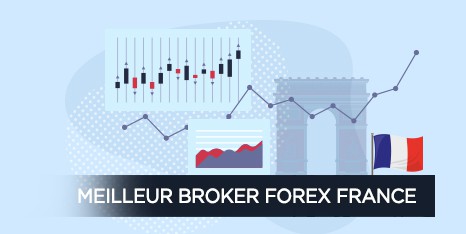 Forex Broker Icon