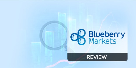 Blueberry Markets review