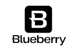 blueberry markets