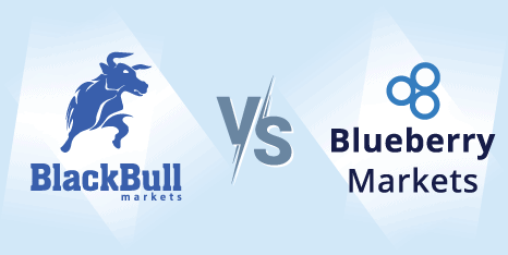 blackbull vs blueberry markets