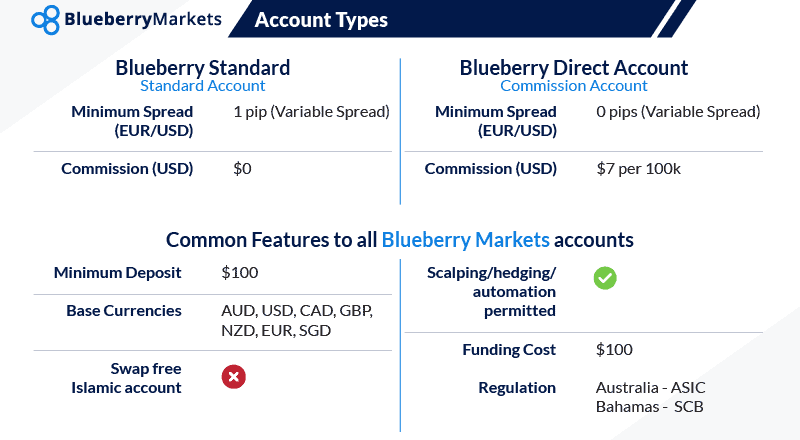 blueberry markets account types