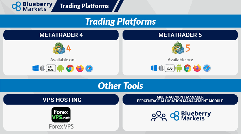 blueberry markets trading platforms