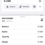 exness mobile app dashboard