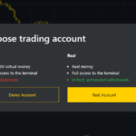 exness terminal choose trading account