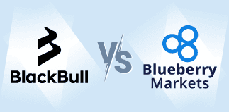 blackbull markets vs blueberry markets