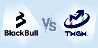 blackbull markets vs tmgm