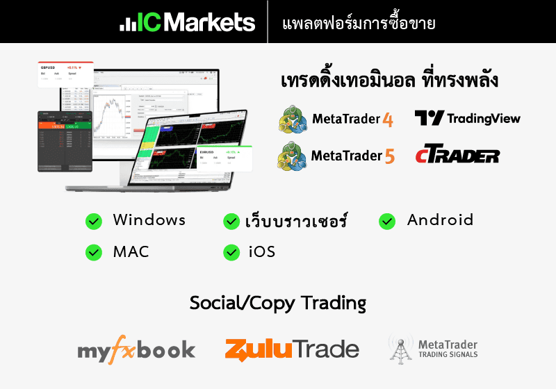 แพลตฟอร์มบน IC Market