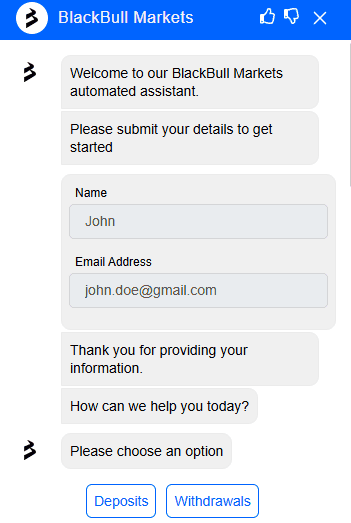 BlackBull Markets customer service