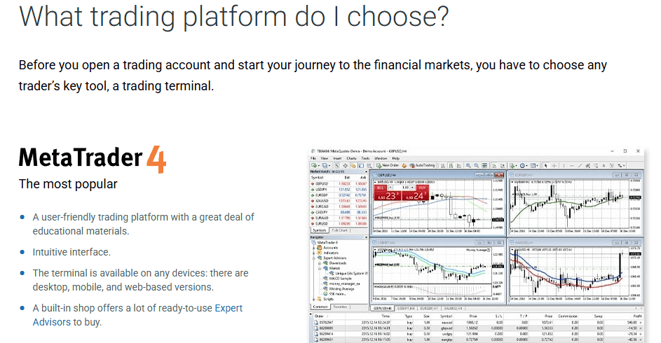 RoboForex Education Segment