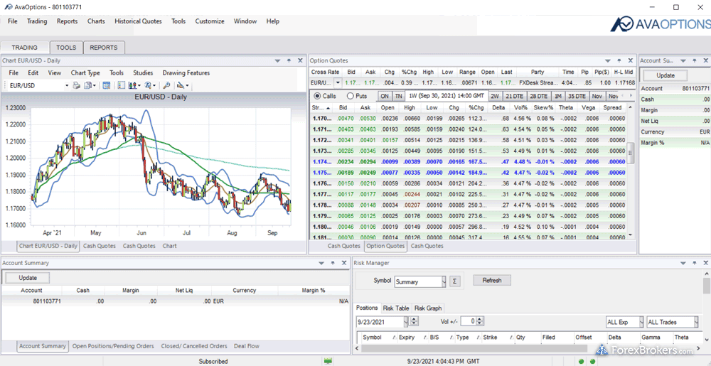 The AvaOptions platform interface.
