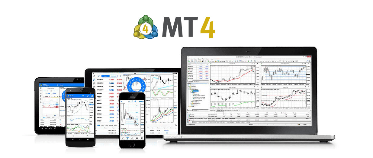 MT4