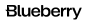 blueberry markets logo