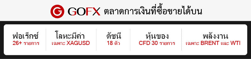 ผลิตภัณฑ์ทางการเงิน GoFX
