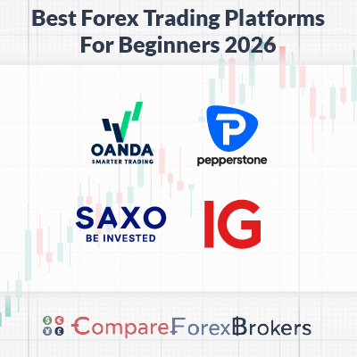 best forex trading platforms for beginners 2026