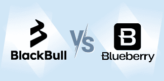 blackbull markets vs blueberry markets